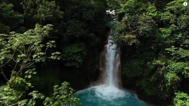 Pendakian Seru: Denai Teratas Kuala Lumpur mengajak Anda mengeksplorasi keindahan alam dan cabaran mendaki di sekitar ibu kota, pengalaman yang mengagumkan menanti.