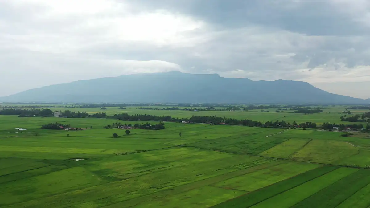 Gunung Jerai: Keindahan alam yang megah dan sejarah yang kaya mengundang pengunjung ke puncaknya yang memikat.