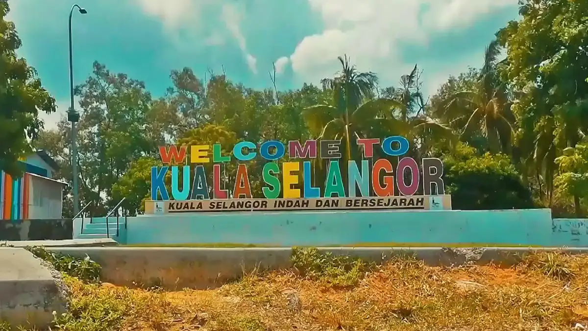 Petualangan Kuala Selangor: Alam Semula Jadi & Kelip-kelip