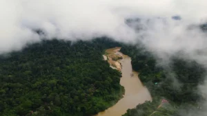 Keindahan Alam Liar: Mengungkap Pesona Taman Negara Malaysia
