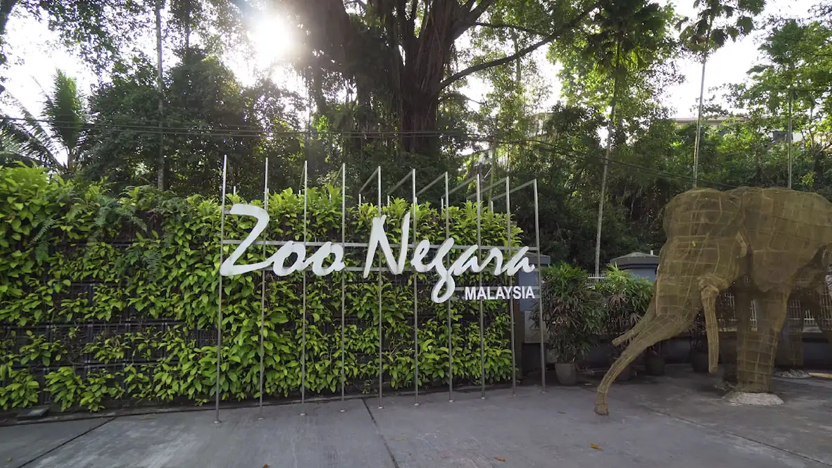 Zoo Negara: Surga satwa liar Malaysia. Menampilkan keindahan alam semula jadi dan beragam spesies, mempesona dan mendidik pengunjung