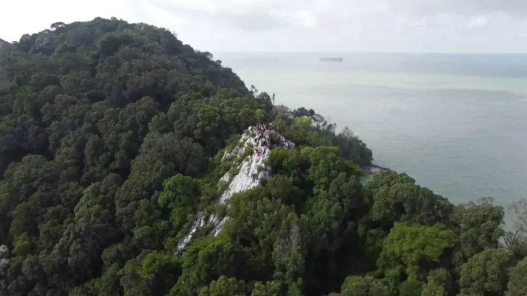 Bukit Batu Putih: Menjejaki Ketinggian dengan Keindahan Alam