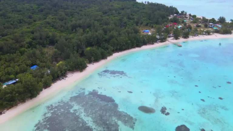 Aktiviti Menarik Pulau Mantanani: Mengintip Kehidupan Lautan: Snorkeling dan Menyelam