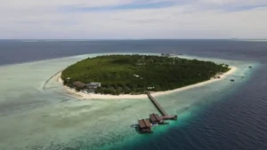 Pulau Pom Pom Wisata Bahari yang Memikat di Malaysia