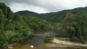 Penang National Park: Surga bagi Peminat Alam Semula Jadi