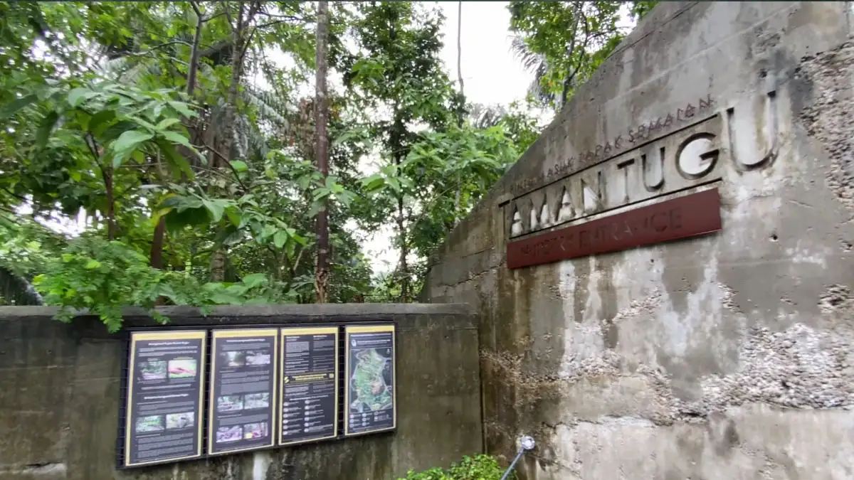 Taman Tugu Forest Trail: Menjelajah Kehijauan di Tengah Kuala Lumpur