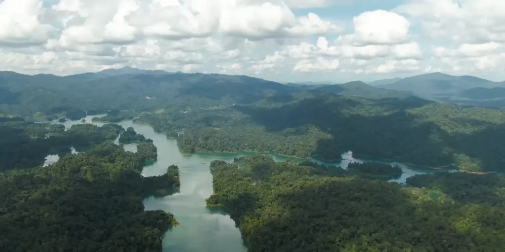 Tasik Kenyir: Keunikan Flora dan Fauna yang Mengagumkan