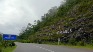 Cameron Highlands Pesisir Hijau yang Memikat Hati