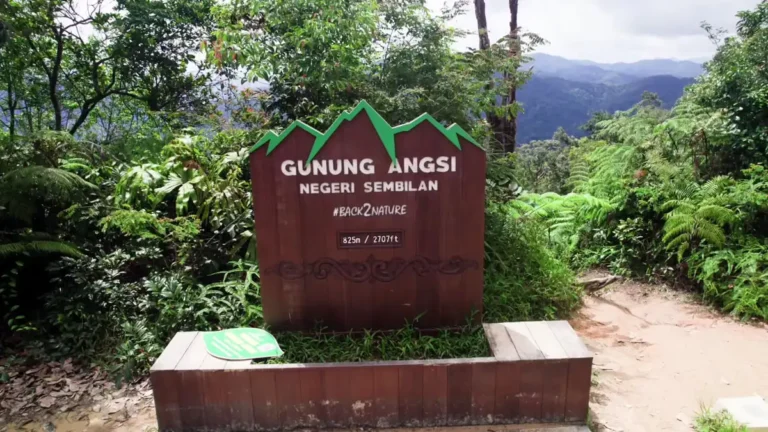 Gunung Angsi: Keindahan Alam Negeri Sembilan. Mendaki menuju puncak menawarkan petualangan yang mengesankan dan pemandangan alam yang menakjubkan.