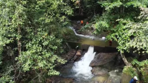 Hutan Lipur Sungai Tekala: Destinasi rekreasi semula jadi menawarkan keindahan alam yang menakjubkan dan aktiviti seru untuk pengunjung dari semua peringkat umur.