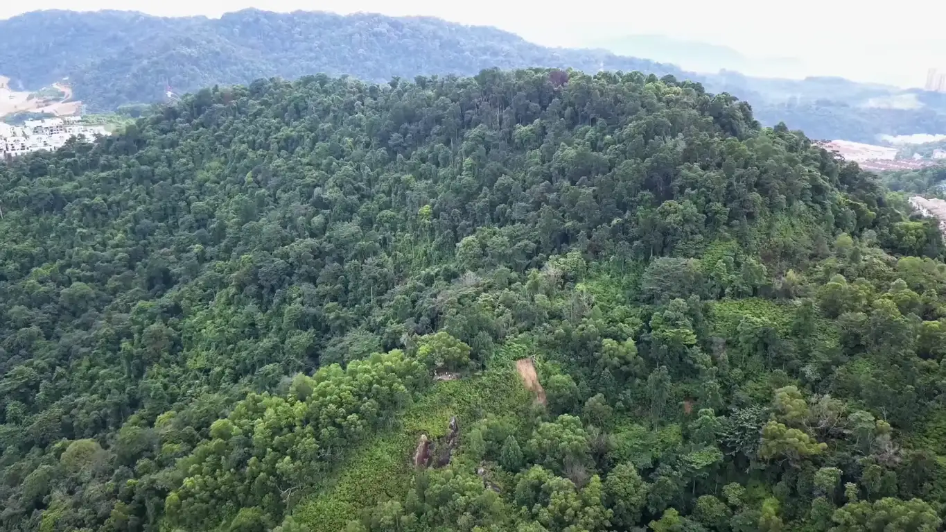 Bukit Ketumbar Hill: Pemandangan Memukau dari Ketinggian