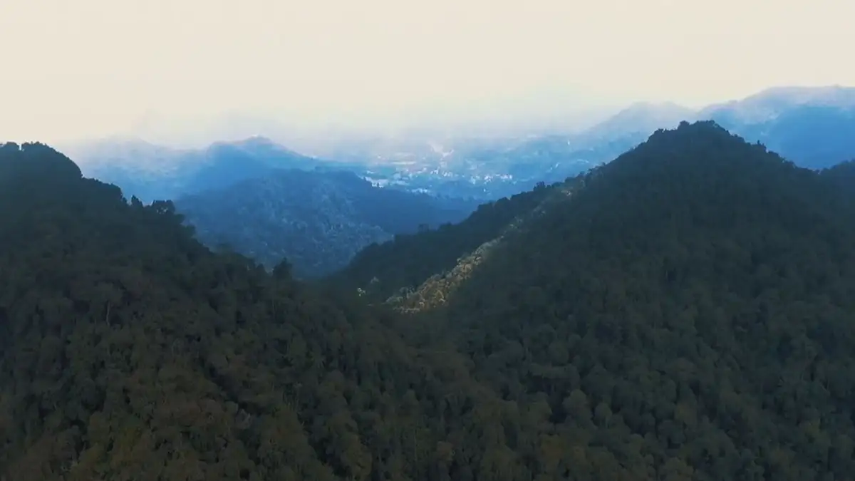 Gunung Nuang: Cabaran Mendaki dan Pemandangan Luar Biasa