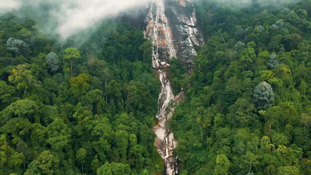 Puncak Gunung Stong: Petualangan di Taman Negeri yang Menakjubkan