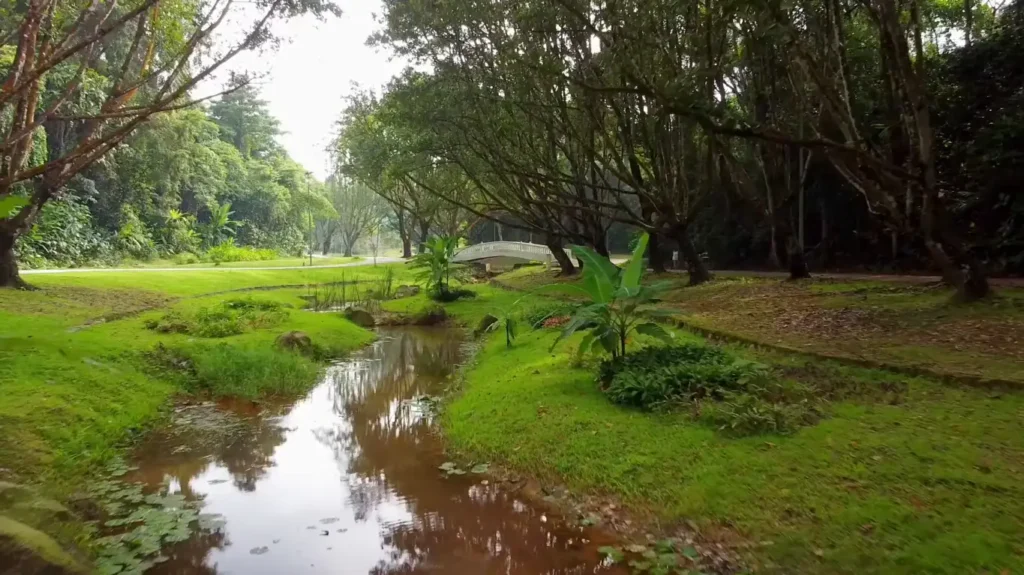 Taman Tasik Permaisuri: Tempat Hiburan Percuma Tanpa Batasan Waktu