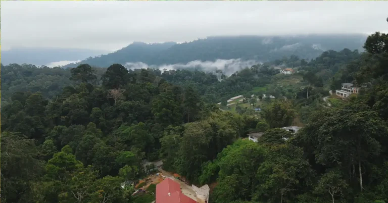 Tempat Menarik di Janda Baik: Jelajahi Hutan Tropika, Air Terjun yang Menakjubkan, dan Penginapan Unik untuk Percutian Alam yang Sempurna