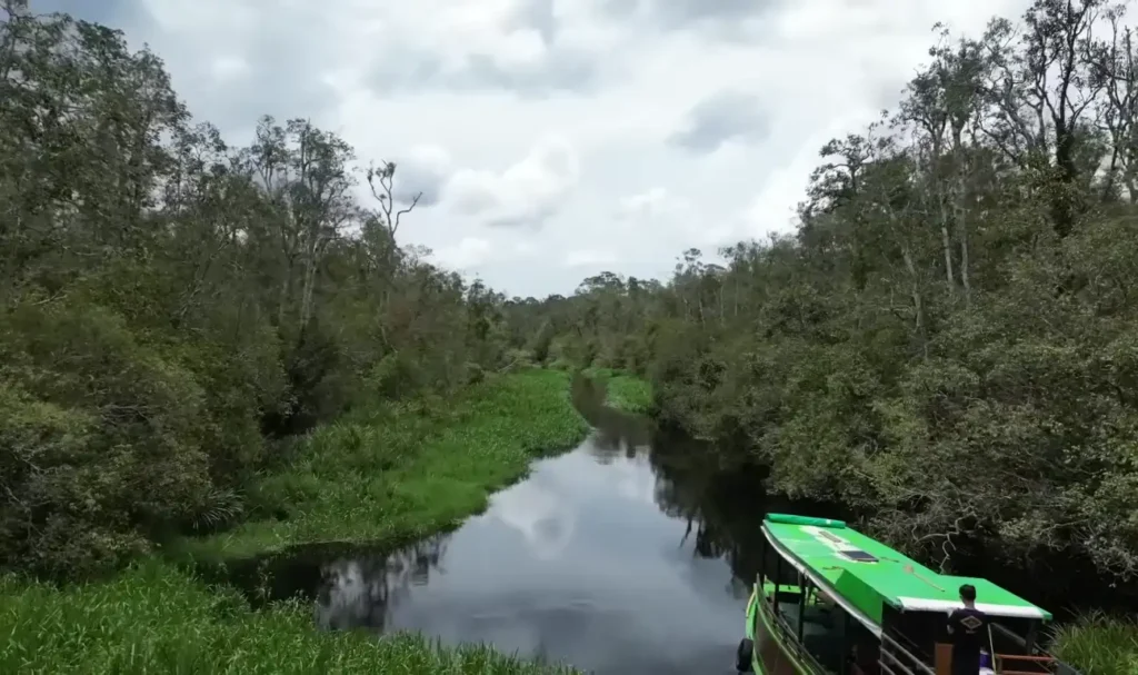 Pulau Orang Utan perak